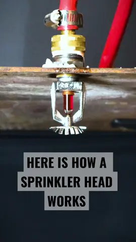 #howitworks  #firesprinkler  #firefighting 