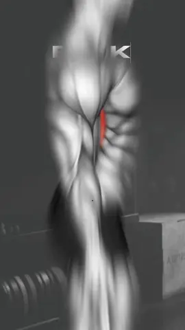 Treino de costas completo 🔥💪🏽 #treinodecosta #treino #gym #academia #academy #training #musculação #Fitness #GymTok #workout #musculation #fitnessroutine #gymmotivation #bodybuilding #musculacao #gymrat #workoutmotivation #maromba #GymLife #fitnessroutine #gymbro #muscle #hipertrofia #treinar #workoutroutine  #dumbbell  #upperback #lowerback #deadlift  #reardeltrow  #rows #fitnesscoach #backday #backworkout #backexercises  #backdayworkout #latpulldown  #backmuscle #latmuscle #biggerback #backrow #backtraining #fy #viral 