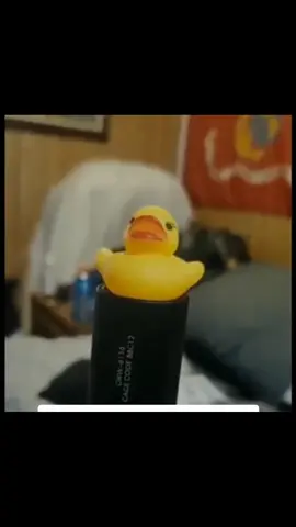 Absolute radiance #hollowknight #hollowknightsilksong #meme #viral 