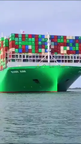 #seaman9696 #Ever #AIM #foryou #fypシ #master2023bytiktok #LearnOnTikTok #xuhuong #xuhuong2023 