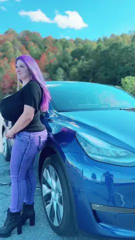 And here i thought i was the #passengerprincess but i guess i can let Chloe have it. #passengerprincessforlife #pomsky 