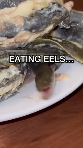 AMERICAN EEL CATCH AND COOK  What’s your best theory on how they reproduce? #eel #eels #americaneel #americaneels eel eel eel