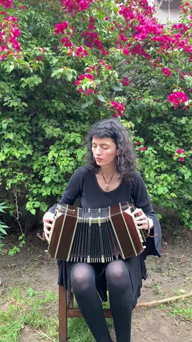 Gnoissienne Nro 1 🌧️ Qué otra canción les gustaría escuchar con el bandoneón? 🎶 #bandoneon #eriksatie #music 