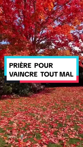 prière contre tout mal @dameprecieuse28 #combatspirituel #generationchretiennne #prieredecombat #prieavecmoi #exhortation #bible #versetbiblique #parolededieu #paroledivine #delivrance @