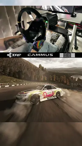 ✋🏻#assettocorsa #assettocorsadrift #berserkaus #nextlevelracing #3drap #cammusracing 