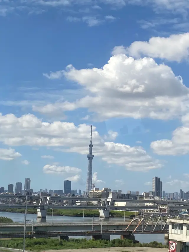 東京が恋しい🇯🇵⛩️ #tokyo #japanvlog #japan #travel #xhtiktok 