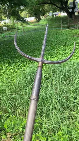 สามง่ามหลวง ศาสตราวุธที่หลายคนอาจมองข้ามเพราะมีลักษณะคล้ายสามง่านทั่วไป มีต้นกำเนิดจากจีนแผร่หลายเข้ามาในช่วงอยุธยา มีประสิทธิภาพในการแทง( กัก ขึง)เป้าหมายได้อย่างดีในระยะที่ไม่ประชิด#ศาสตราวุธโบราณ #ศาสตราวุธไทยโบราณ #ศาสตราวุธ #สํานักดาบเรือนนเรศ #ชมรมอาวุธไทยโบราณเรือนนเรศ 