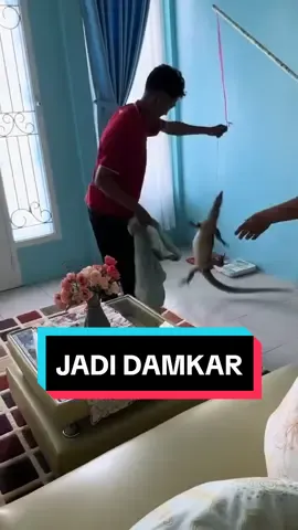 kurir cosplay jadi damkar. pencarian kurir tangkap biawak #jntexpressid #fypdongggggggg #viral #fyp #biawak 