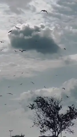 الحمدلله عدد خلقه وزنة عرشه #الحمدلله_دائماً_وابداً💚🌧️🤲 #الحمدلله_ع_نعمة_الاسلام 