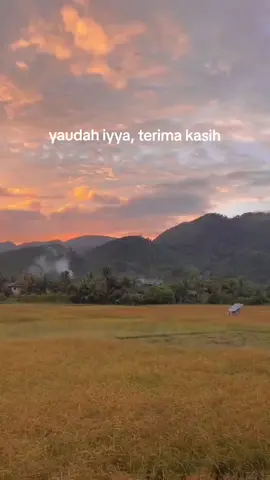 #storywhatsapp #storybugis #katakata #sarimiisi2lebihenakbray #fyp #fypviral #foryou #bugissulawesi #bugistiktok #masukberanda 