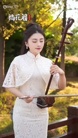 nước mắt hoa mận...#nhactrung #nhactrunghay #nhac #tamtrang #nhacnaychillphet #chill #fyp #xuhuong 