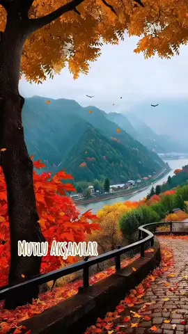 #iyiakşamlar #mutluakşamlar #huzurlubirakşam #huzurluakşamlardostlar #güzelakşamlar #huzurluakşamlar #kesfet #beniöneçıkart  #türkiye #keşfetetiketi #tiktoktürkiye #takipavm #keşfetbeni #keşfetedüşmekistiyorum #akşam #akşammesajı  #traveling #Travelphotography #travelling #travelblogger #traveler #traveller #travelingram #traveltheworldwithme 