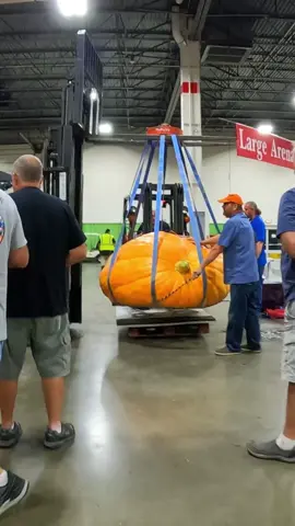 I seen the world's largest pumpkin then THIS happened 😳 #pumpkin #pumpkincontest #halloween #biggestpumpkin