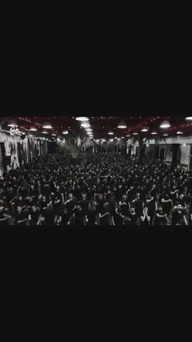 {جنت بالمسجد واحسيت بالكسره🥀} #باسم_الكربلائي #مرتضى_حرب #سيد_فاقد_الموسوي #سيد_علي_الطلقاني. #لايك #متابعه #مشاهدات 