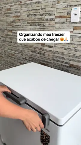 Gratidao por tudo sempre 🙏🏼🙏🏼 #organizacao #freezer #carnesorganizadas 