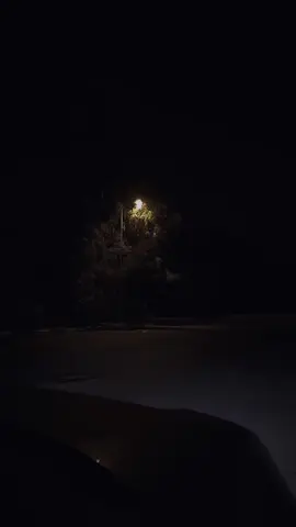 باين حبيت❤️✨ #viral #foryou #tiktok #amrdiab #fypシ #amrdiabworld #amr_diab #عمرودياب #عمرو_دياب #tiktoklongs #explore #explorepage #reels #repost #fyp #amr_diab_legend 