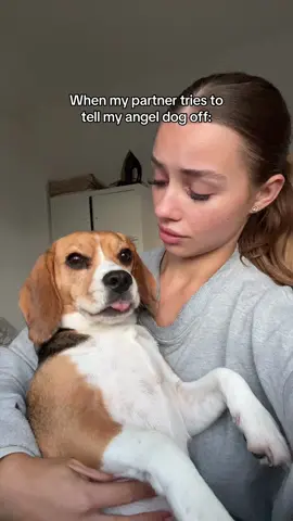 She can do NO WRONG 😇 #dog #dogtok #beagle #beaglesoftiktok #dogsoftiktok #dogmum #dogmom #dogparent 
