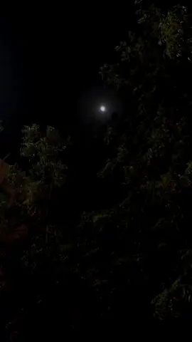 لسة بحنلها❤️🥰 #foryou #لسة_بحنلها #اتمشي_معاها_ونتكلم #منشن_للي_تحبه #منشن #viral #Reverb #fyyyyyyyyyyy#fyp 