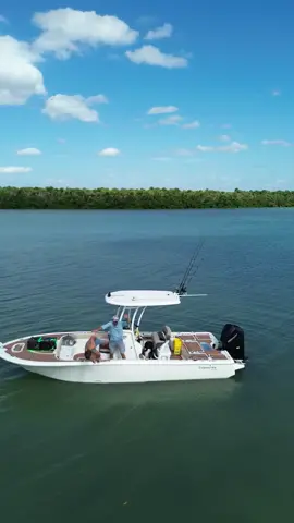 Just trying to help out my dad. ❤️@BlueChew #bluechewpartner 