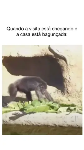 Quem nunca 😂😂😂 #meme #rir #donadecasa #haha #memestiktok #tiktok #humor #memesbrasil #brasil #br 