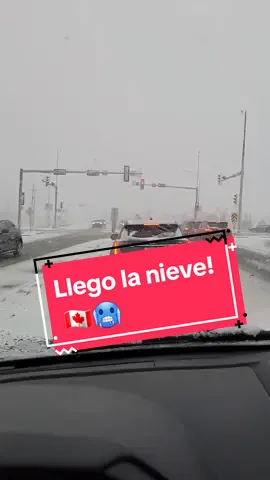 primera nevada de la temporada y mi primera vez manejando con nieve. 🥶😖 #snow #firstsnow #calgary #chestermere #mexicana #mexicanaencanada #regiaencanada #canada #mexico #🇲🇽🇨🇦 