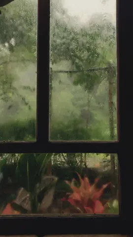 Hujan di pagi hari.🌧️ #fyp #aestheticvideos #alam #hujan #pagi 