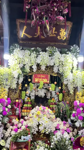 Đã được về với cô 🥰🥰🥰