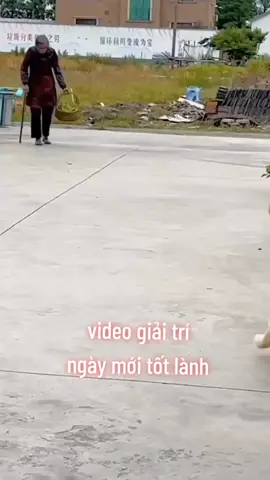 #TikTokAwardsVN2023  #TikTokFashion 