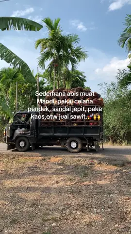 #kulisawit #kulisawitindonesia #petanisawit #petaniindonesia🇮🇩🇮🇩🇮🇩🌿🌿 