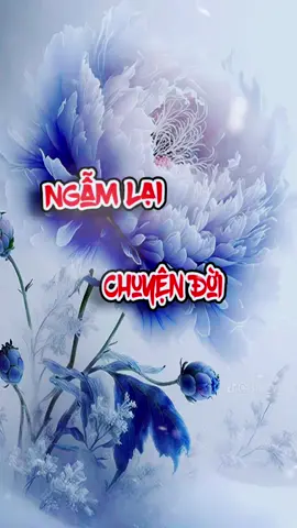 NGẪM LẠI CHUYỆN ĐỜI - Hoàng Bảo#giaitrithoidai #ngamlaichuyendoi 