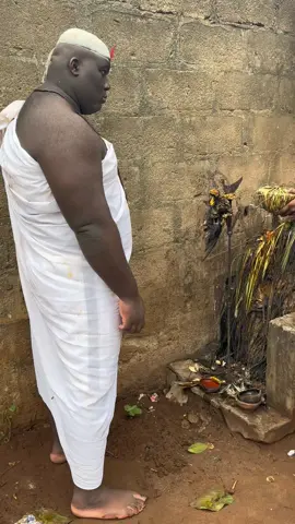 Ifa initiation ritual is a beautiful experience 🙏🏽🙏🏽🧿🧿❤️❤️ A beautiful journey 🤩  #travel #travelphotography #nigeria #atr #africantraditionalreligion #fyp #fypage #spirituality #foryoupage 