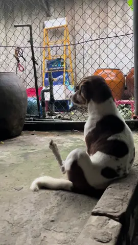 Bởi chán cuộc đời thôi đi ngủ luôn 🥲#lenxuhuong #levanlam_longtieng 