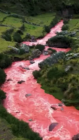 Red River of Peru#scenerytour#nature#film#river#pink