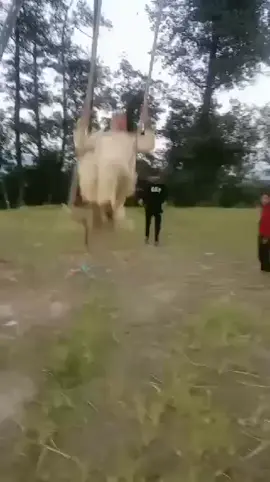 प