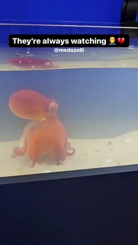 Vlog of a day in my life without my patek 💔😪 ( compilation of my videos part 32 )