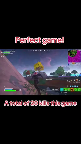 Stay winning! #gaming #fortnite #victoryroyale #win #fyp 