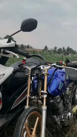 #tigerhasilbandarudang #herexjember #fyppp #kidulansgank 