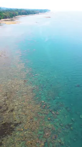 Pulau Engganooooo 🫶🫶 #referensiwisatabengkulu #pesonaindonesia #exploreindonesia #backpackeranasik #fypシ #bengkulutiktok #bengkuluhits #bengkulupride #pelakebengkulu 