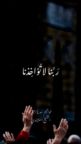 المقطع المفضل ❤ #المنشاوي #الشيخ_المنشاوي #محمد_صديق_المنشاوي #المنشاوى #قرآن_كريم 
