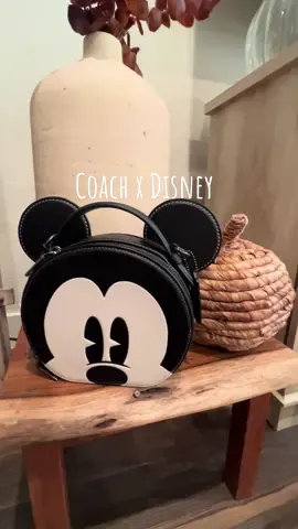 Literally obsessed😍  #coachoutlet #disney #mickeymouse #handbag #haul #new #obsessed #coach 