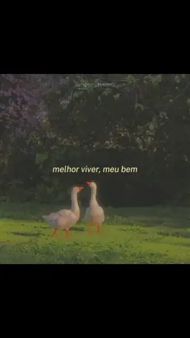 Felicidade- Marcelo Jeneci feat. Laura Lavieri #felicidade #marcelojeneci #mpb #mpbrasil #musicabrasileira #legendado #legendadoportuguesbr 