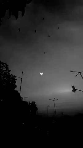 Ko chandani? 😪👰‍♀️🤍 . . . . #CapCut #whatsapp_status #Nostalgic #trending #whatsapp #goviral #thizu #tiktok #fyp #4u #foryoupage #whatsap #වට්ස්ඇප්_ස්ටේට්ස් #newtrend #new #song #hindisong #hindi #Love #lv #thizu_quotes 