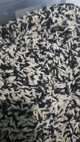 #ข้าวไรซ์เบอร์รี่ #ข้าวกล้องกข43 #ข้าวกล้องสองเกลอ #ข้าวกล้องสองเกลอไรซ์เบอรี่กล้องกข43 