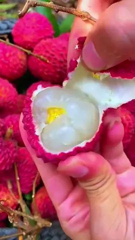 Panen buah-buahan segar langsung dari pohonnya dan langsung kita coba kupas beberapa buahnya #fruit #fruits #panenbuah 