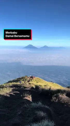 Hanya ingin sejenak beristirahat. Pendakian yg bagus di bulan April-Juli. #merbabu #merbabuviasuwanting #gunungmerbabu #fyp #mendakigunung 