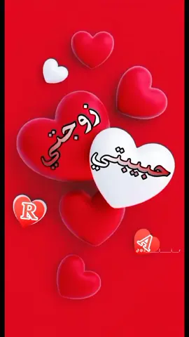 كلام انتي زوجتي وعشق حياتي