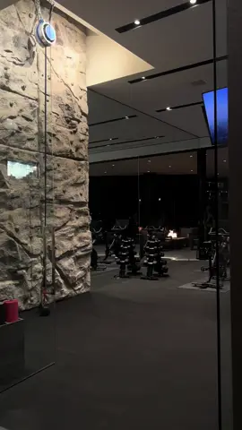 Life goal: Rock climbing wall inside your home gym ⚡️ #fyp #luxuryhomes 