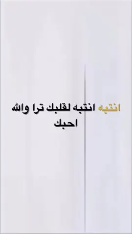 #عبدالحميدعلي …. ترا ولله احبكك💜🖤🌕