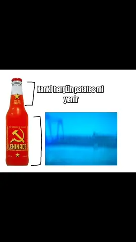 Kanka herkes aynı maaşı mı alsın#sscb #sovietunion #russian #fy #empire #joseph 