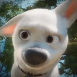 best disney movie. no competition. #bolt #disney 